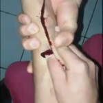 slice.webm