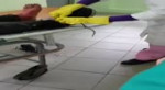 рыбак собрал опарыша.mp4
