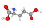 Glutamicacid477×3003DConformer.png