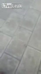 1499538754436.webm