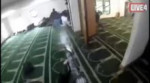 15677031460510.webm