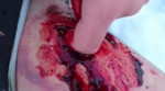 14184605300890.webm
