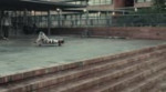 I will survive - VH1 - Del Campo Saatchi & Saatchi.mp4