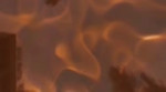 15681354128980.mp4
