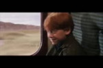 14116399339090.webm