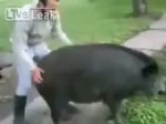 буйная пидораха.webm
