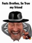 facts-brother.gif