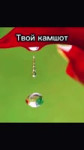 17528447864071.webm