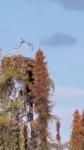 17019596142890.mp4