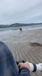 17027598267380.mp4
