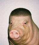 images (12).jpeg