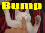 bumpkitty[1].jpg