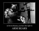 armbears.jpg