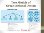 Two+Models+of+Organizational+Design.jpg