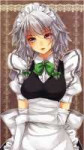 Izayoi.Sakuya.600.1264048.jpg