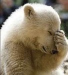 facepalmbear-5804f2af3df78cbc28913ff7.PNG