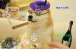 Dogecoin-Hype1129732562.jpg