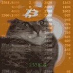 catbtc.mp4