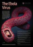 Ebola ♥ Visual Science.jpg