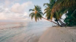 Paradisiac Beach At Maldives — стоковое видео и другие клипы.mp4