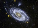 Bright-Spiral-Galaxy-M81-in-Ultraviolet-from-Galex.jpg