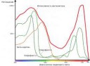 Спектрдействияфотосинтеза.svg