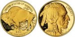 12-American Buffalo (coin).jpg