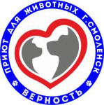 logo.png