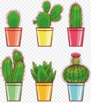 kisspng-cactaceae-drawing-euclidean-vector-illustration-pot[...].jpg