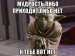 magistr-yoda192036027orig.jpg