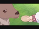 tsukasafeedingdeer.webm