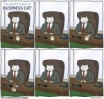 businesscat.png