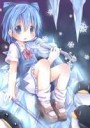 Cirno.full.1122514 (1).jpg