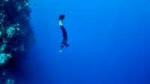 freediving.jpg