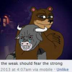 bear and bull.jpg