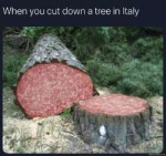 When-you-cut-down-a-tree-in-Italy-meme-5819.png