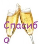 glazen-champagne.jpg