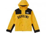 Supreme-The-North-Face-Arc-Logo-Mountain-Parka-Yellow.jpg