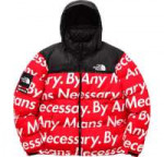 supreme-the-north-face-by-any-means-necessary-7-1500x1000-9[...].jpg