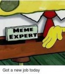 meme-expert-got-a-new-job-today-18951404