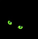 Cat-Eyes.jpg