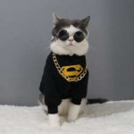 Tyrant-glasses-original-pet-cat-dog-glasses-Teddy-mini-dog-[...].jpg