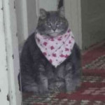 1565407059540.jpeg