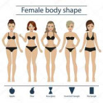 depositphotos108365360-stock-illustration-female-body-shape[...].jpg