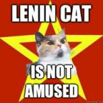 Lenin-cat-Is-not-amused.jpg