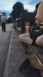 VID20260208002544903.mp4