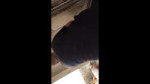 QVR20220515081618.gif