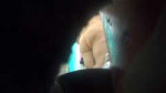 14 (4).png