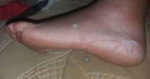 7863489.jpg