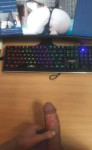 1703001307920.jpg